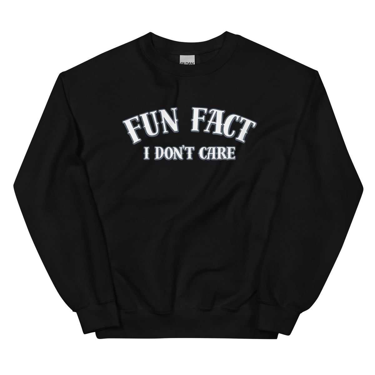 Fun Fact I Don’t Care Statement Sweater – schwarz, Vorderansicht