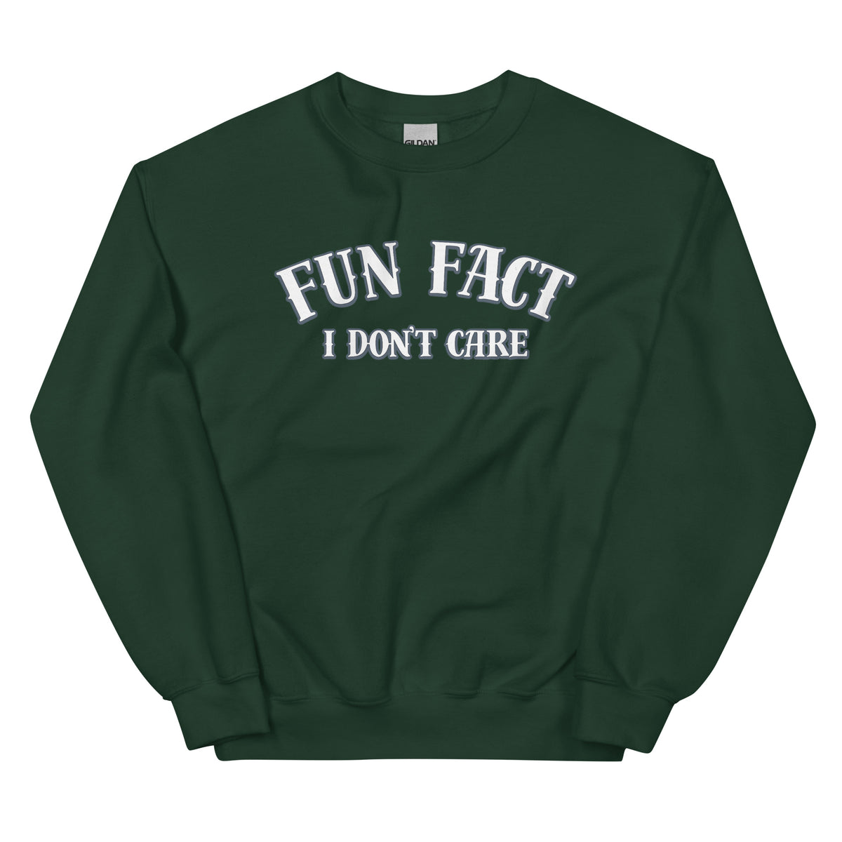 Fun Fact I Don’t Care Statement Sweater – grün, Vorderansicht