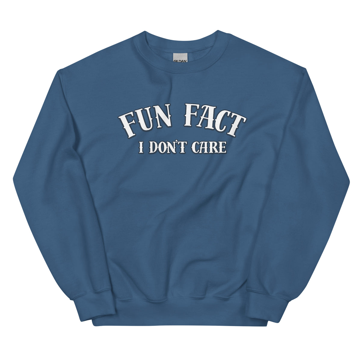 Fun Fact I Don’t Care Statement Sweater – blau, Vorderansicht