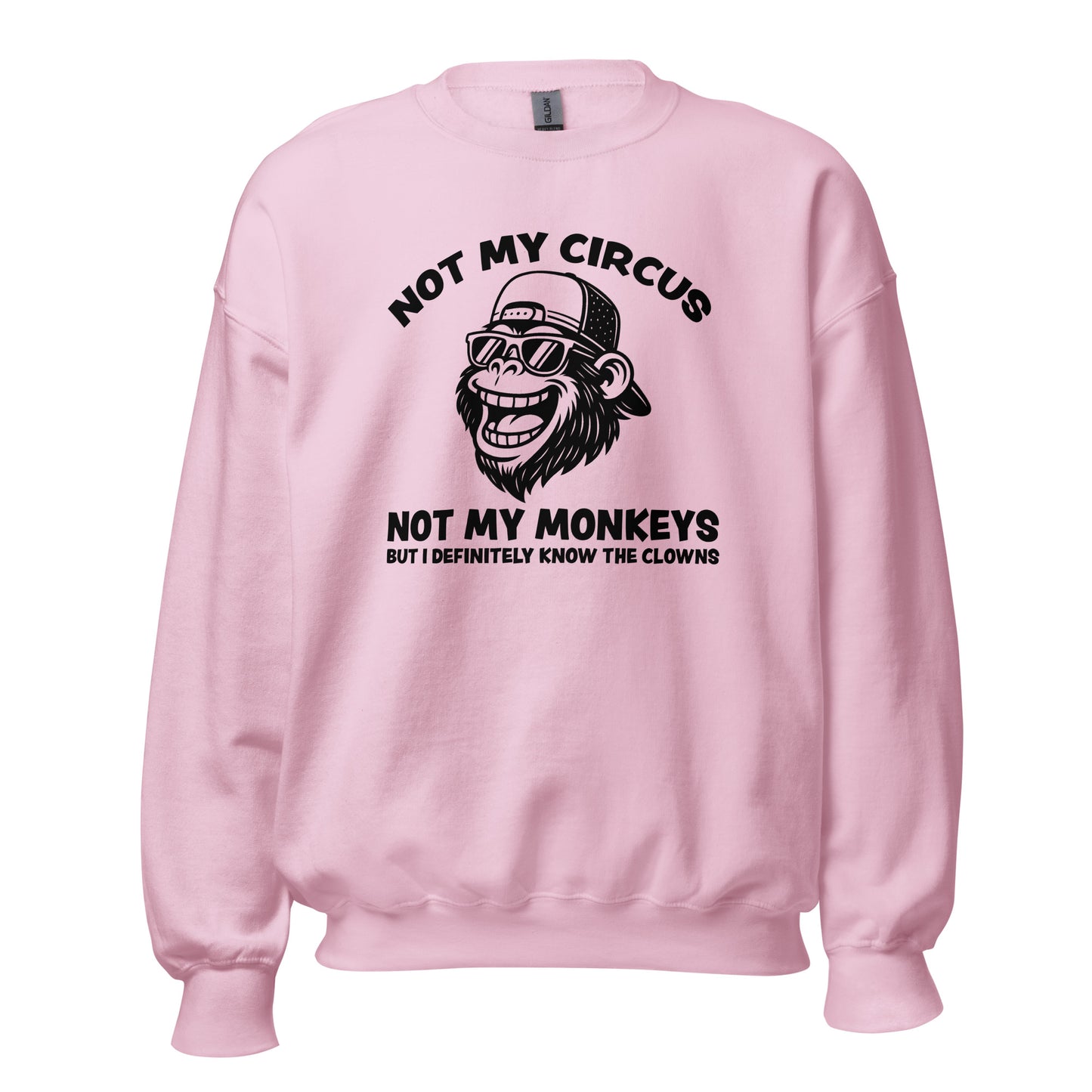 Not My Circus Not My Monkeys – Unisex Sweater