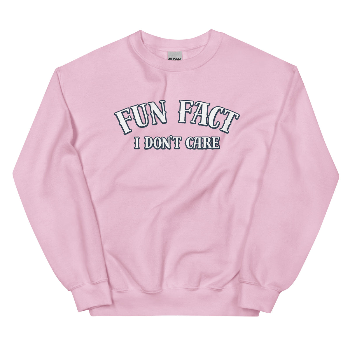 Fun Fact I Don’t Care Statement Sweater – rosa, Vorderansicht