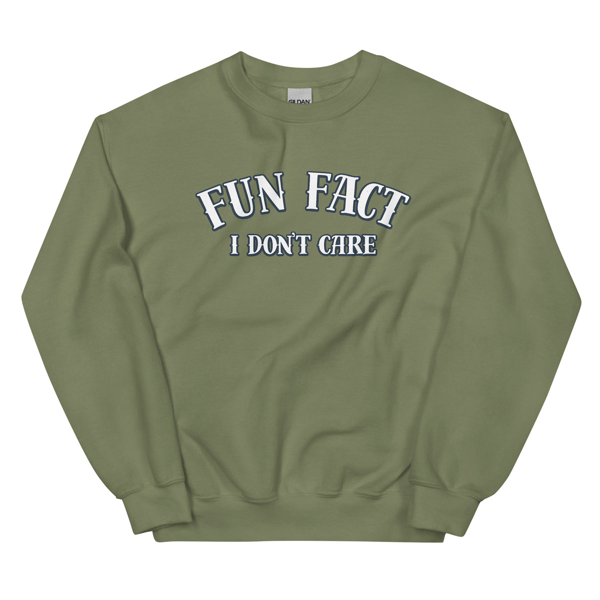 Fun Fact I Don’t Care Statement Sweater – grün, Vorderansicht