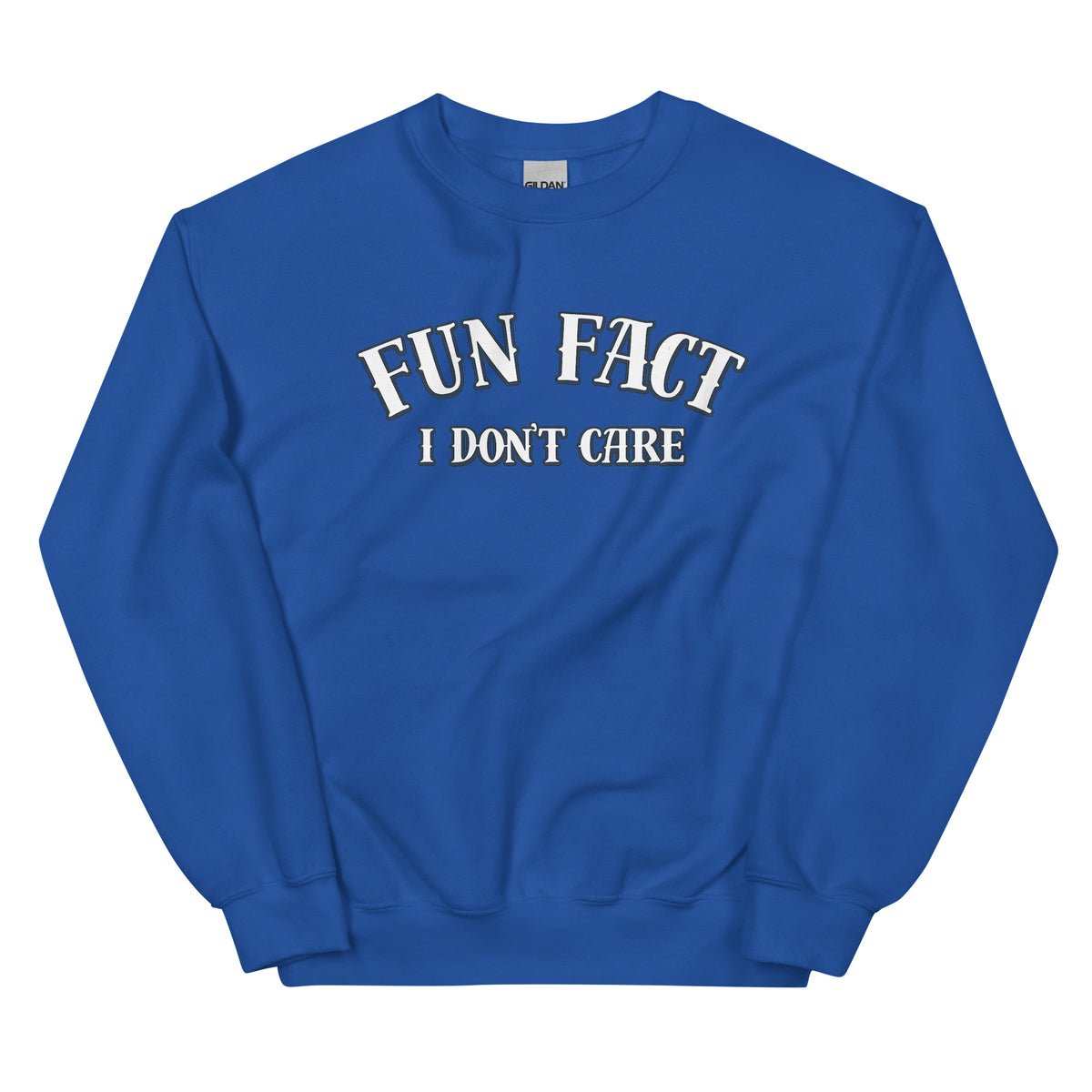 Fun Fact I Don’t Care Statement Sweater – Vorderansicht