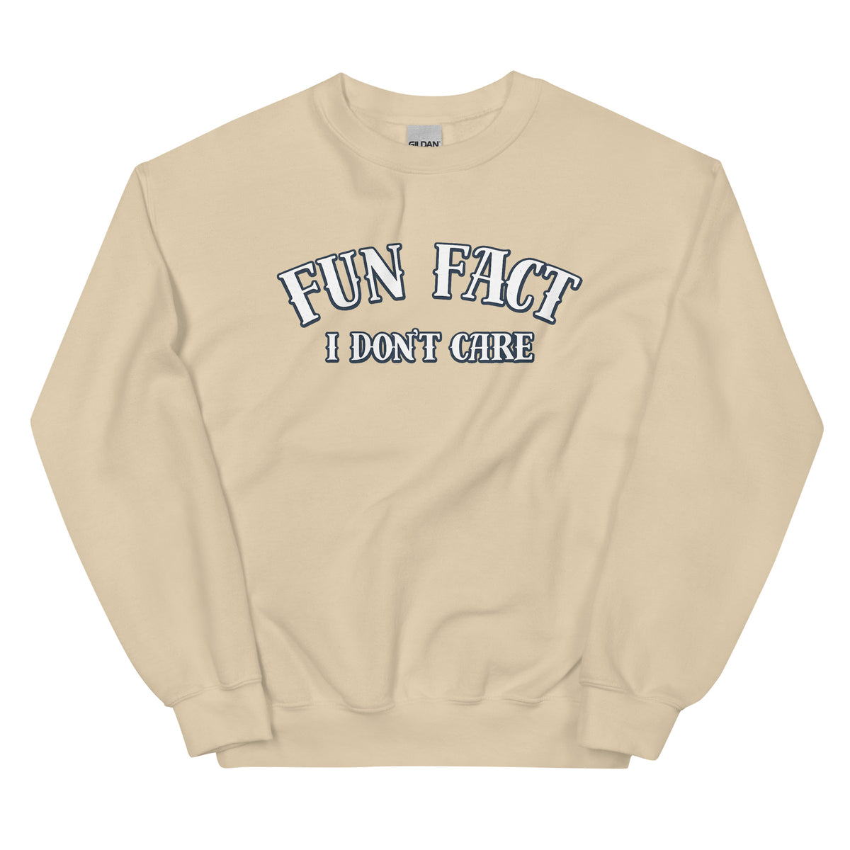 Fun Fact I Don’t Care Statement Sweater – Vorderansicht