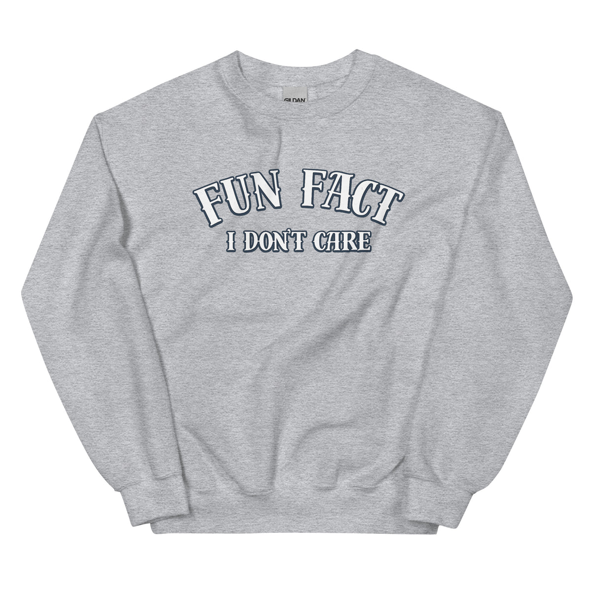 Fun Fact I Don’t Care Statement Sweater – sportgrau, Vorderansicht