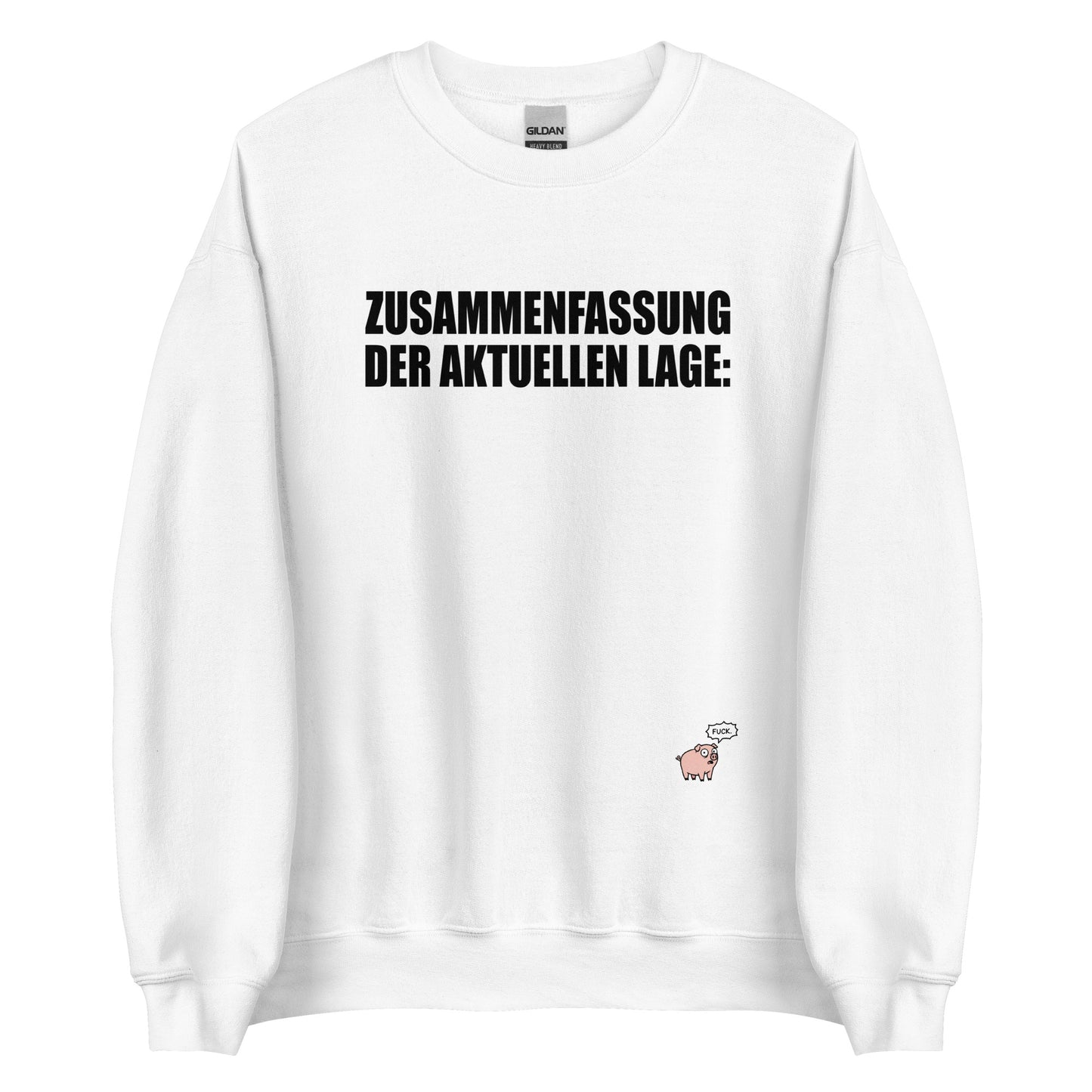 Zusammenfassung der aktuellen Lage - Unisex Sweater