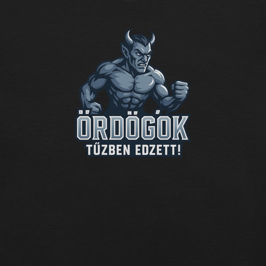 Ördögök – Tűzben edzett! | Fehérvár AV19 fan shirt ICEHL 2026