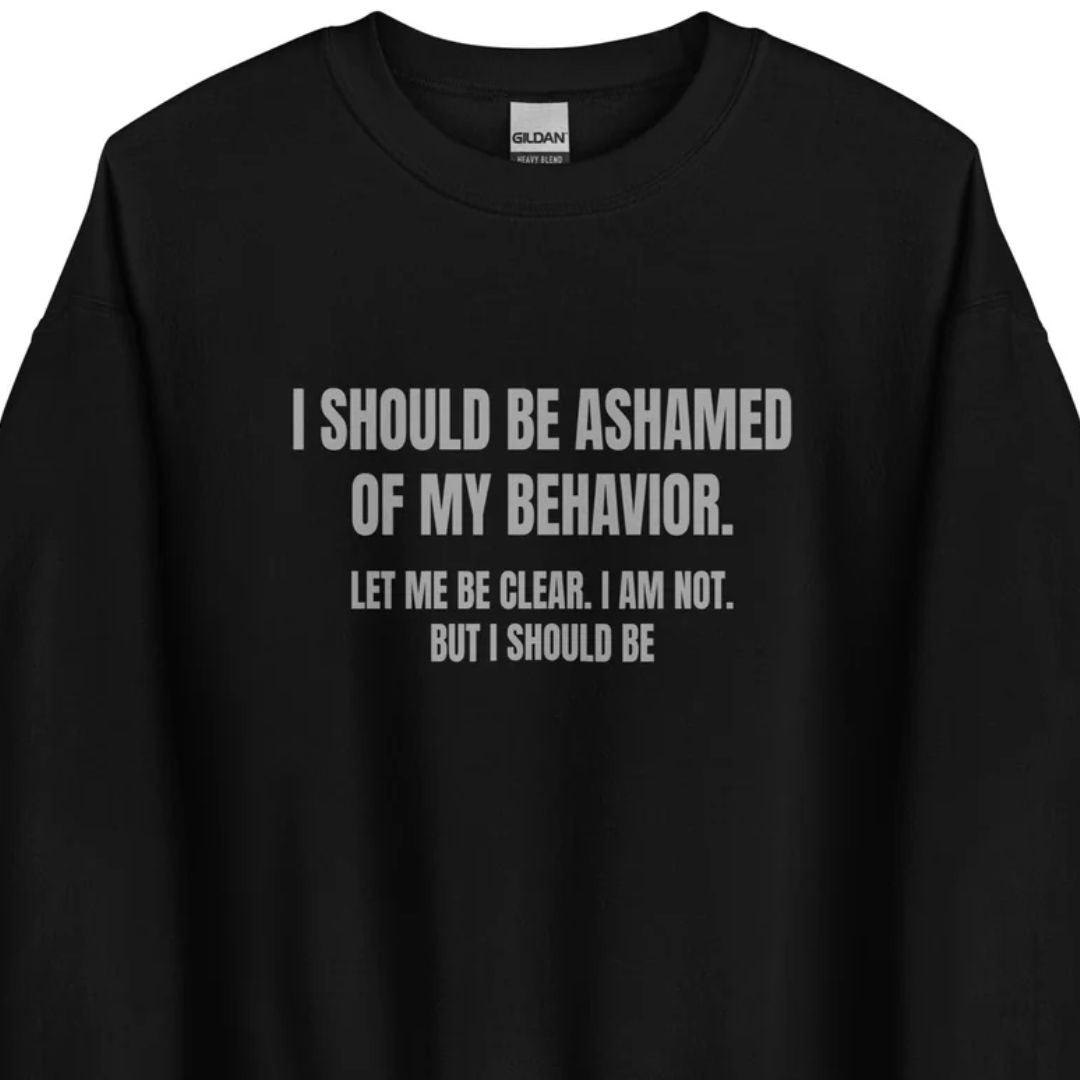 Ashamed of My Behavior – Unisex Sweater