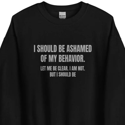 Ashamed of My Behavior – Unisex Sweater