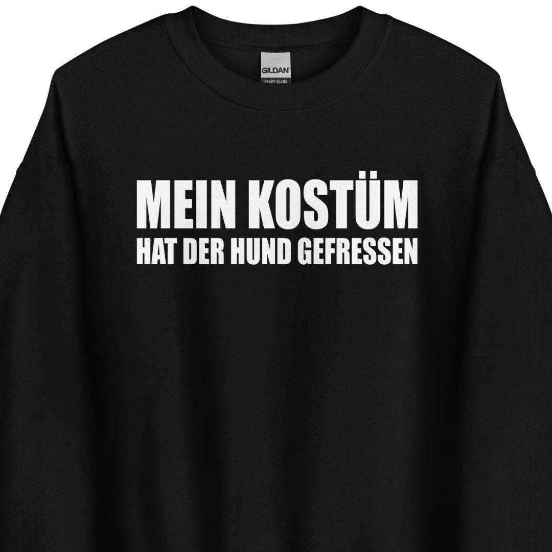 Mein Kostüm hat der Hund gefressen – Statement Sweater