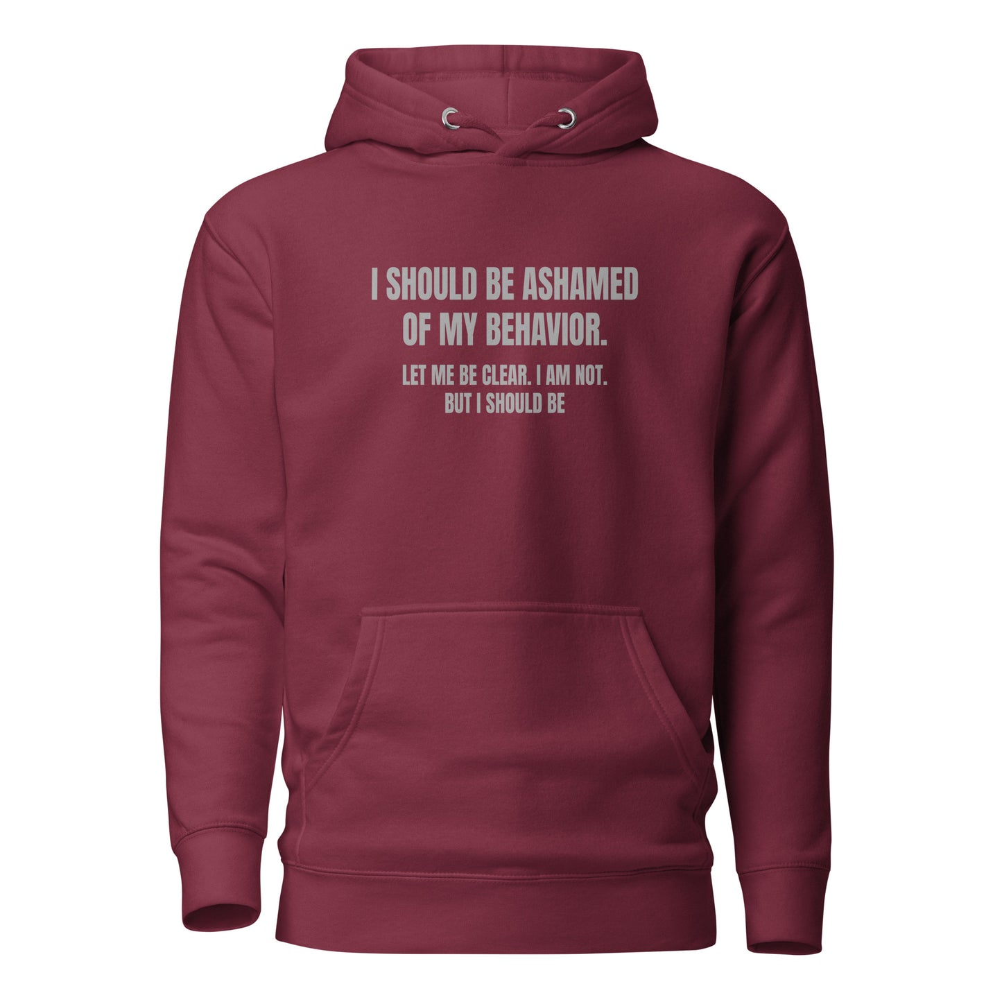 Ashamed of My Behavior – Unisex Hoodie