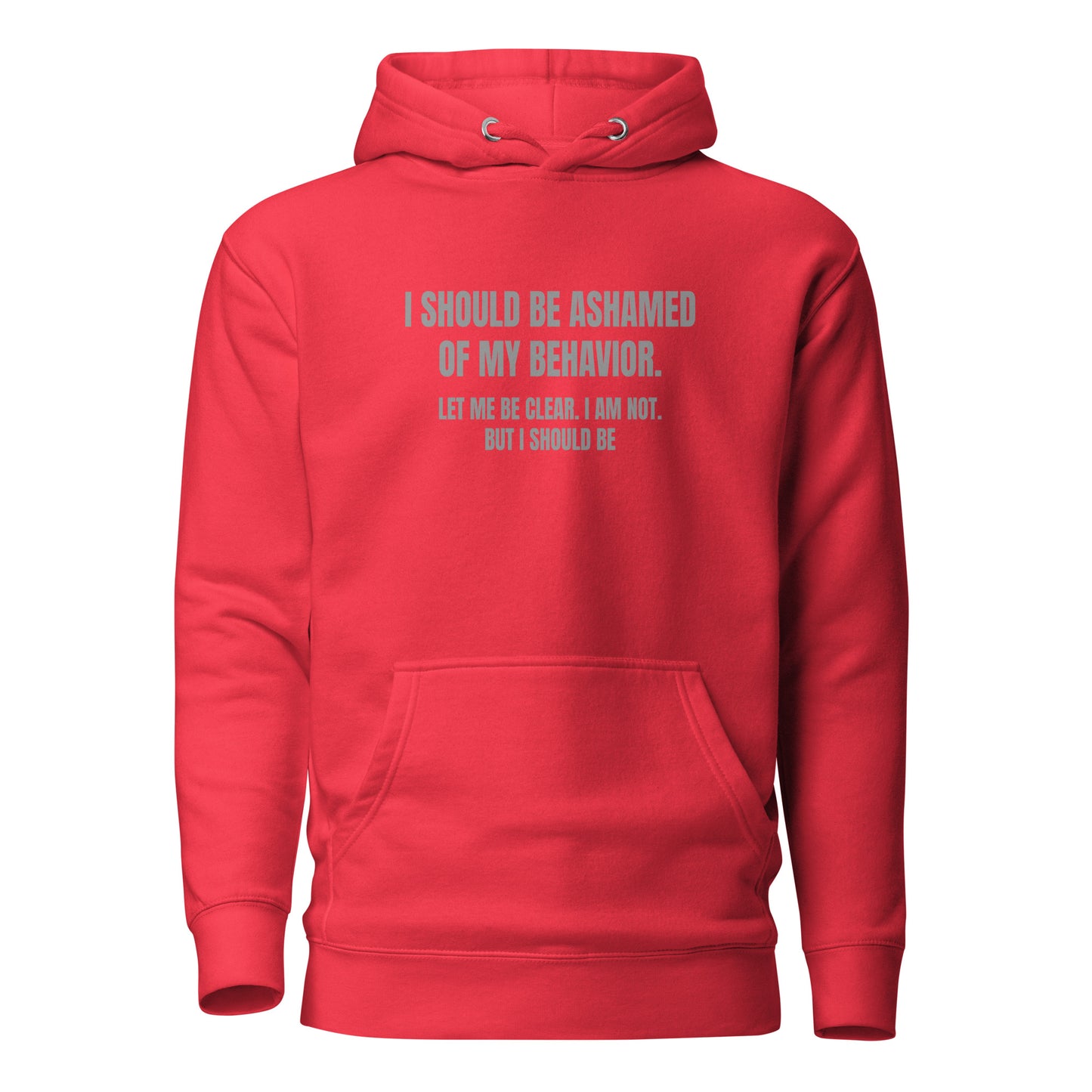 Ashamed of My Behavior – Unisex Hoodie