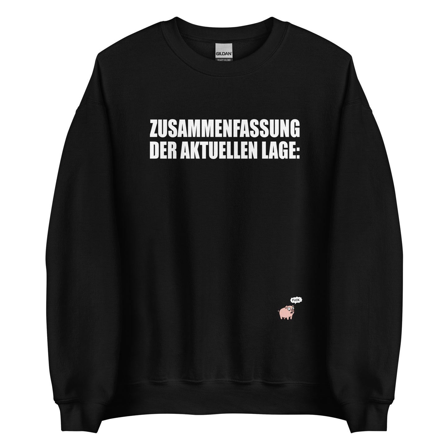 Zusammenfassung der aktuellen Lage - Unisex Sweater
