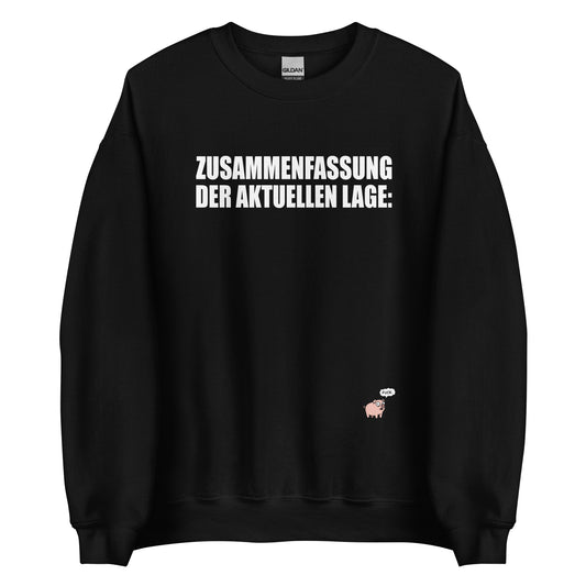 Zusammenfassung der aktuellen Lage - Unisex Sweater