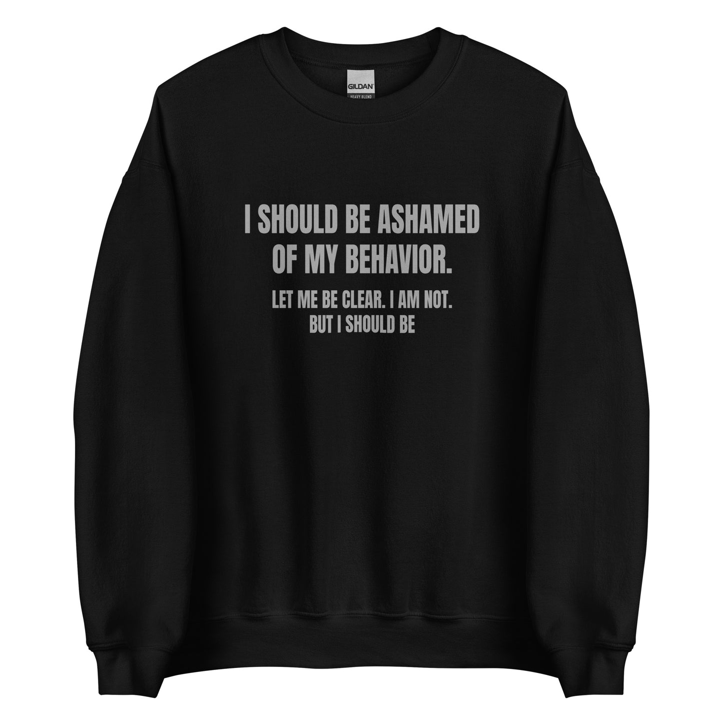 Ashamed of My Behavior – Unisex Sweater