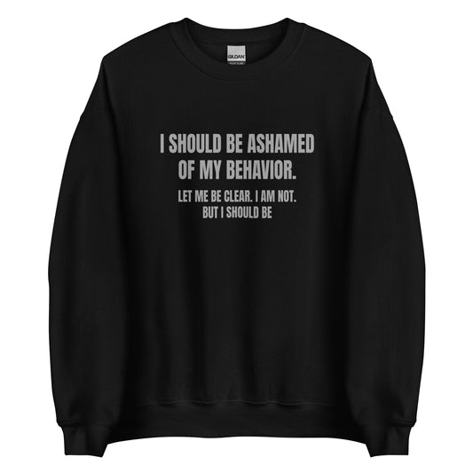 Ashamed of My Behavior – Unisex Sweater