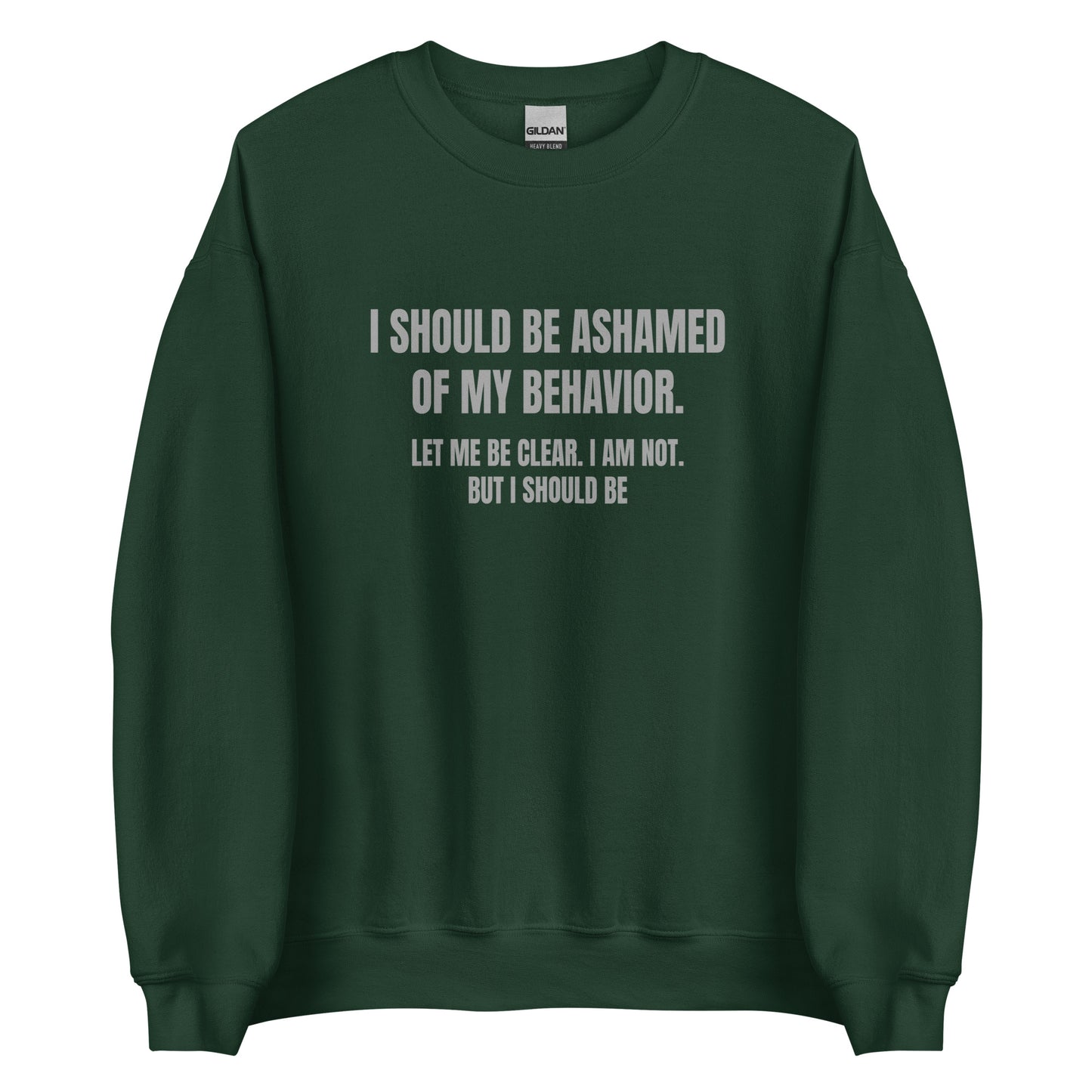 Ashamed of My Behavior – Unisex Sweater