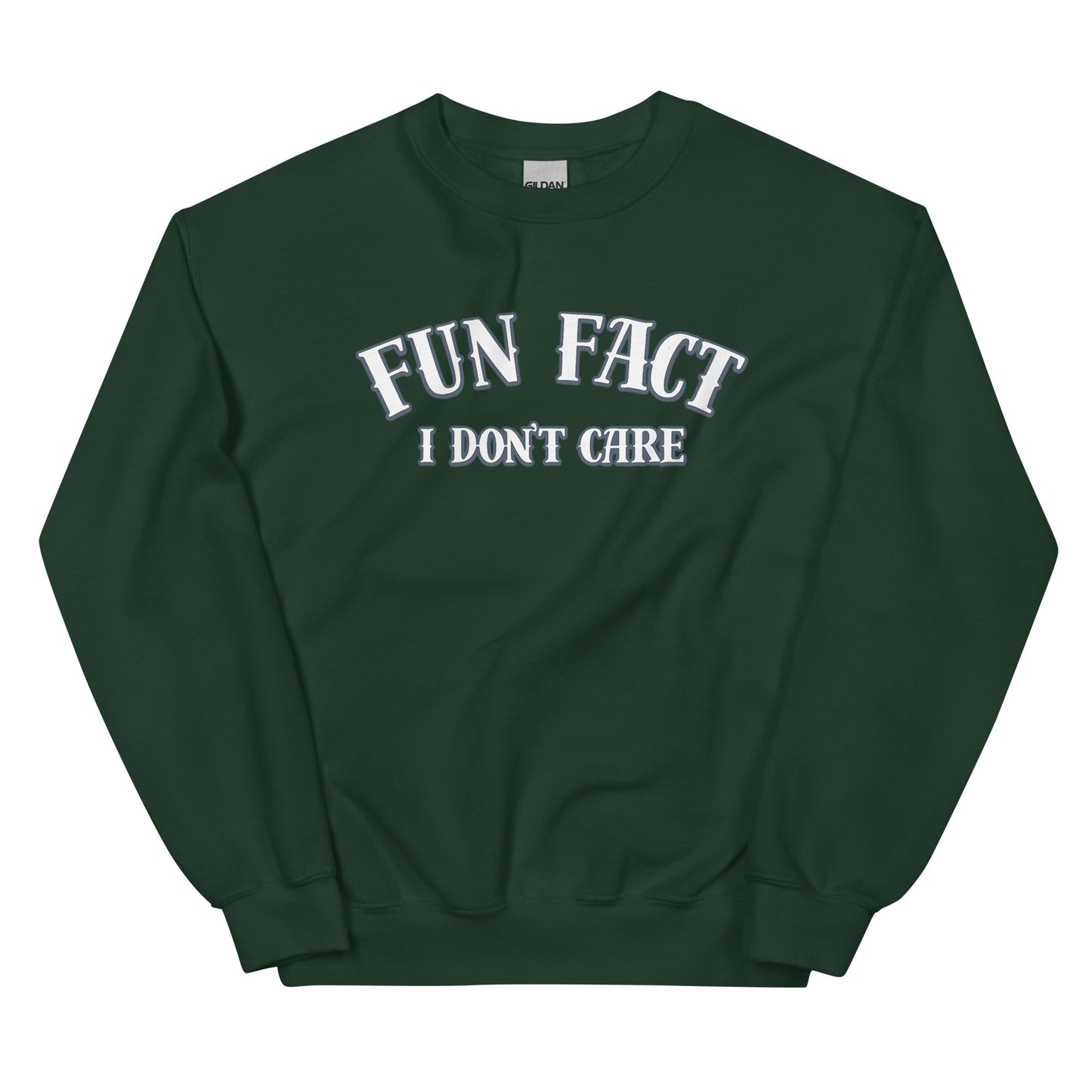 Fun Fact I Don’t Care Statement Sweater