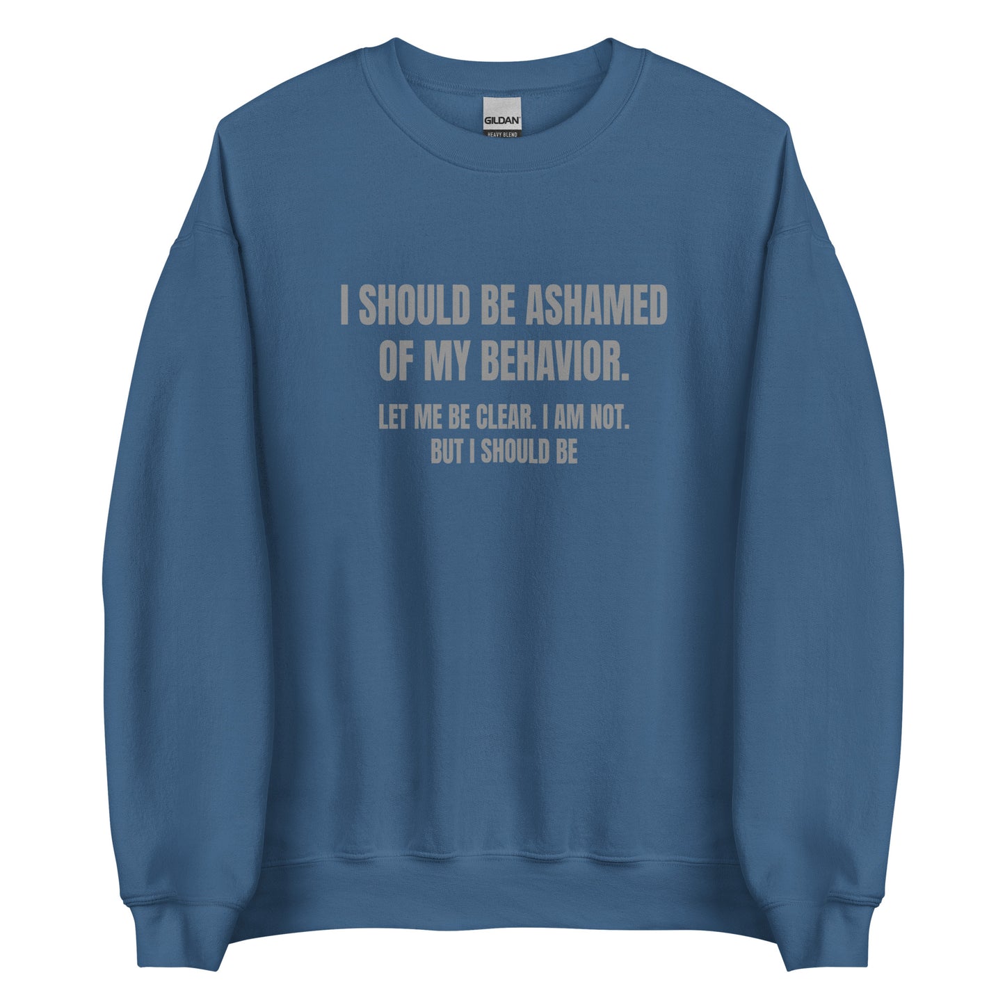 Ashamed of My Behavior – Unisex Sweater