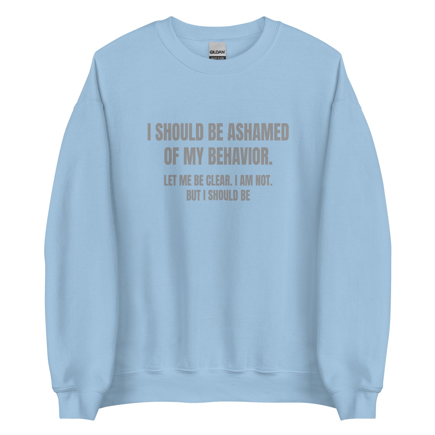 Ashamed of My Behavior – Unisex Sweater