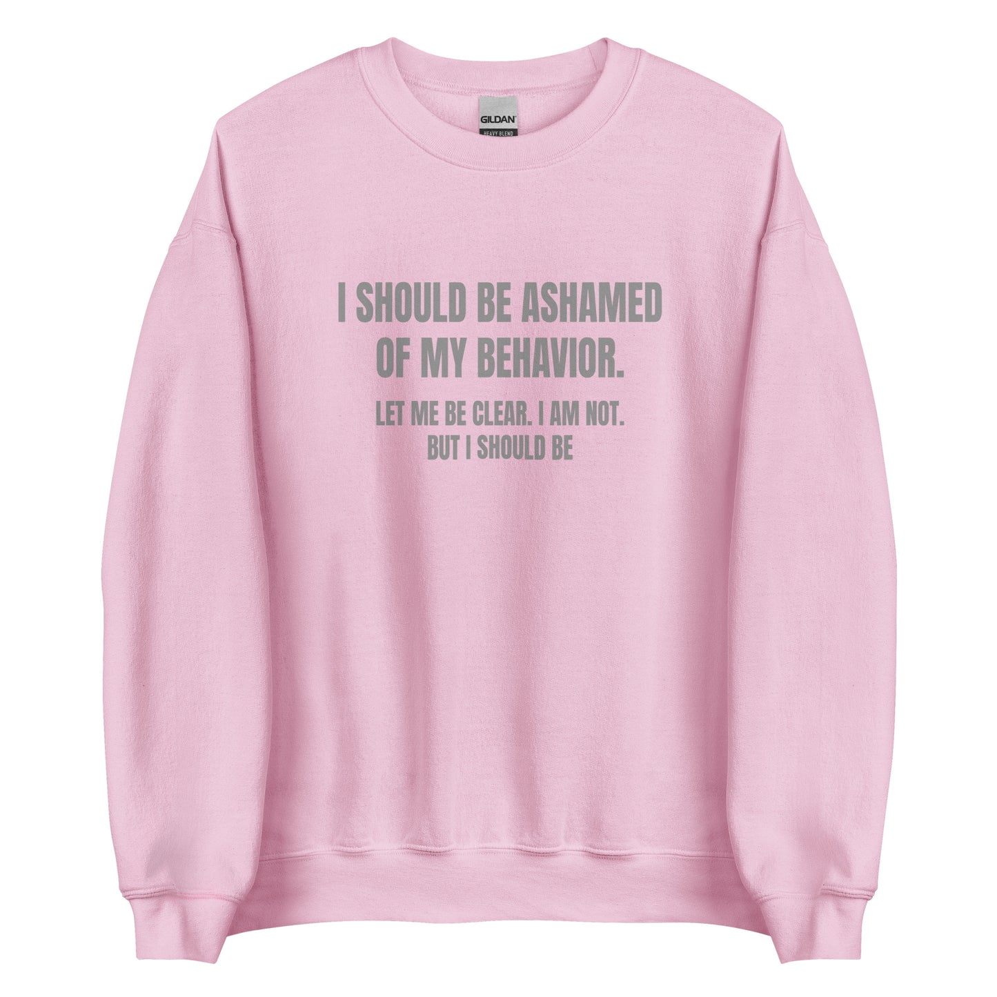 Ashamed of My Behavior – Unisex Sweater