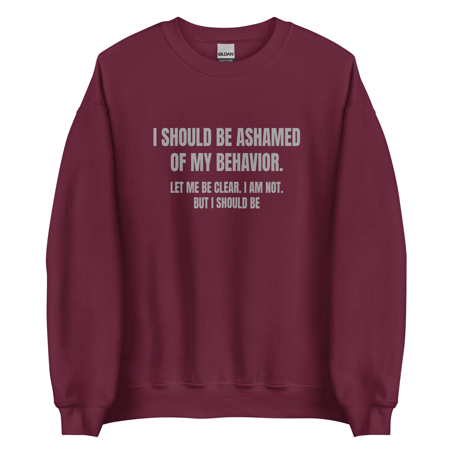 Ashamed of My Behavior – Unisex Sweater