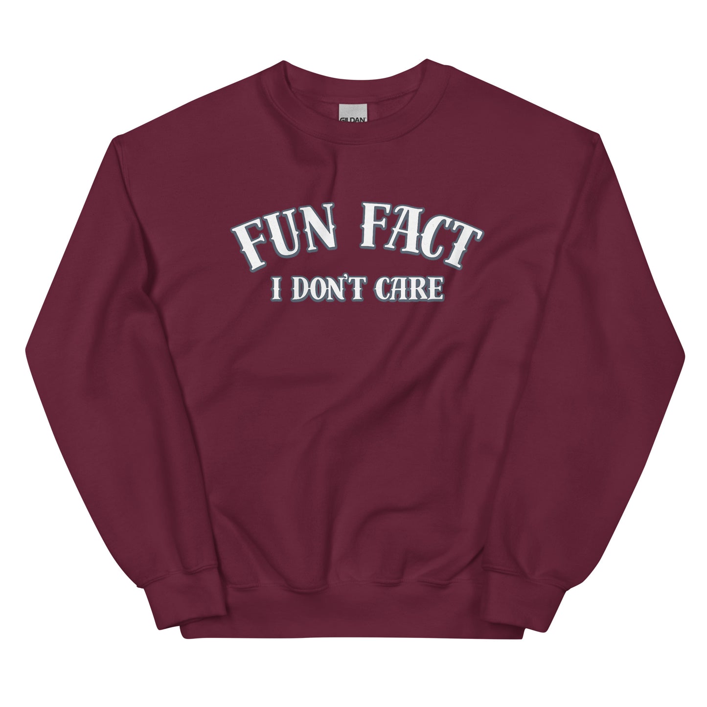 Fun Fact I Don’t Care Statement Sweater