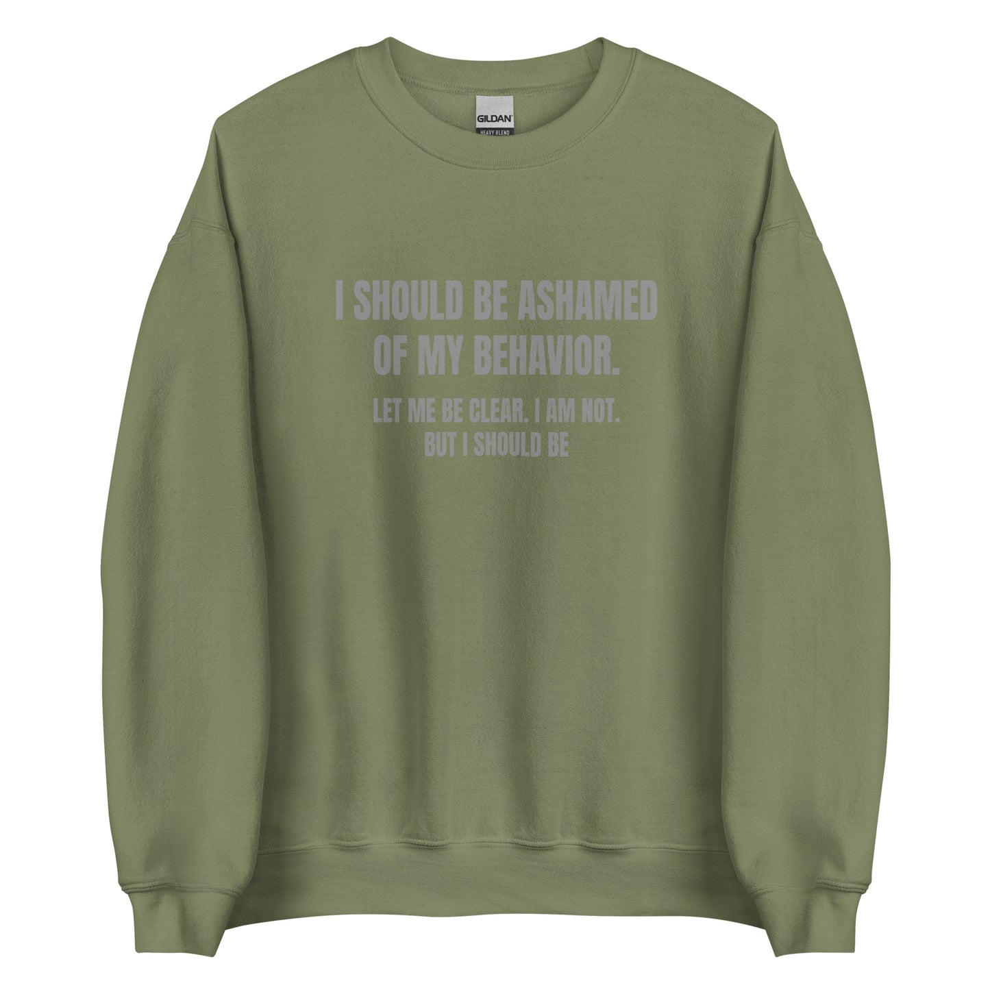 Ashamed of My Behavior – Unisex Sweater