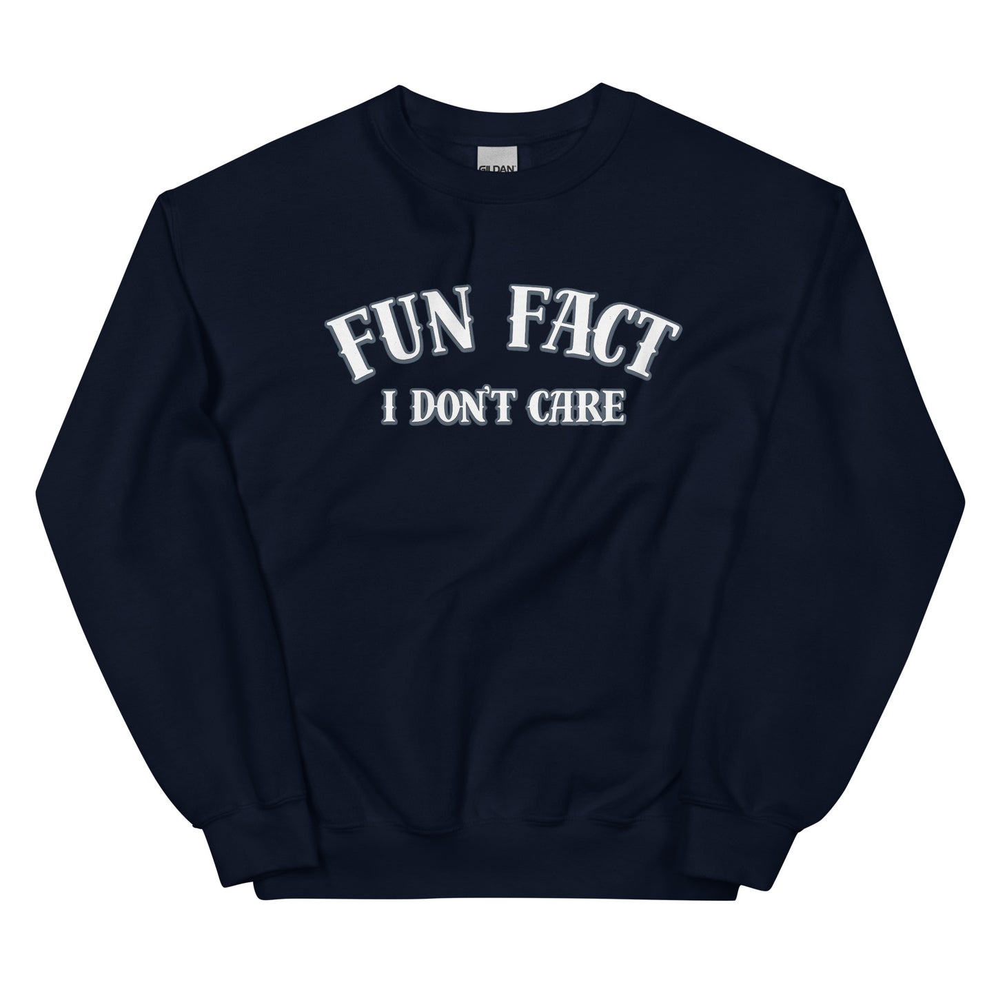 Fun Fact I Don’t Care Statement Sweater