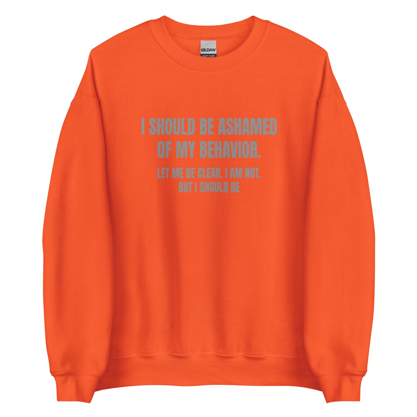 Ashamed of My Behavior – Unisex Sweater