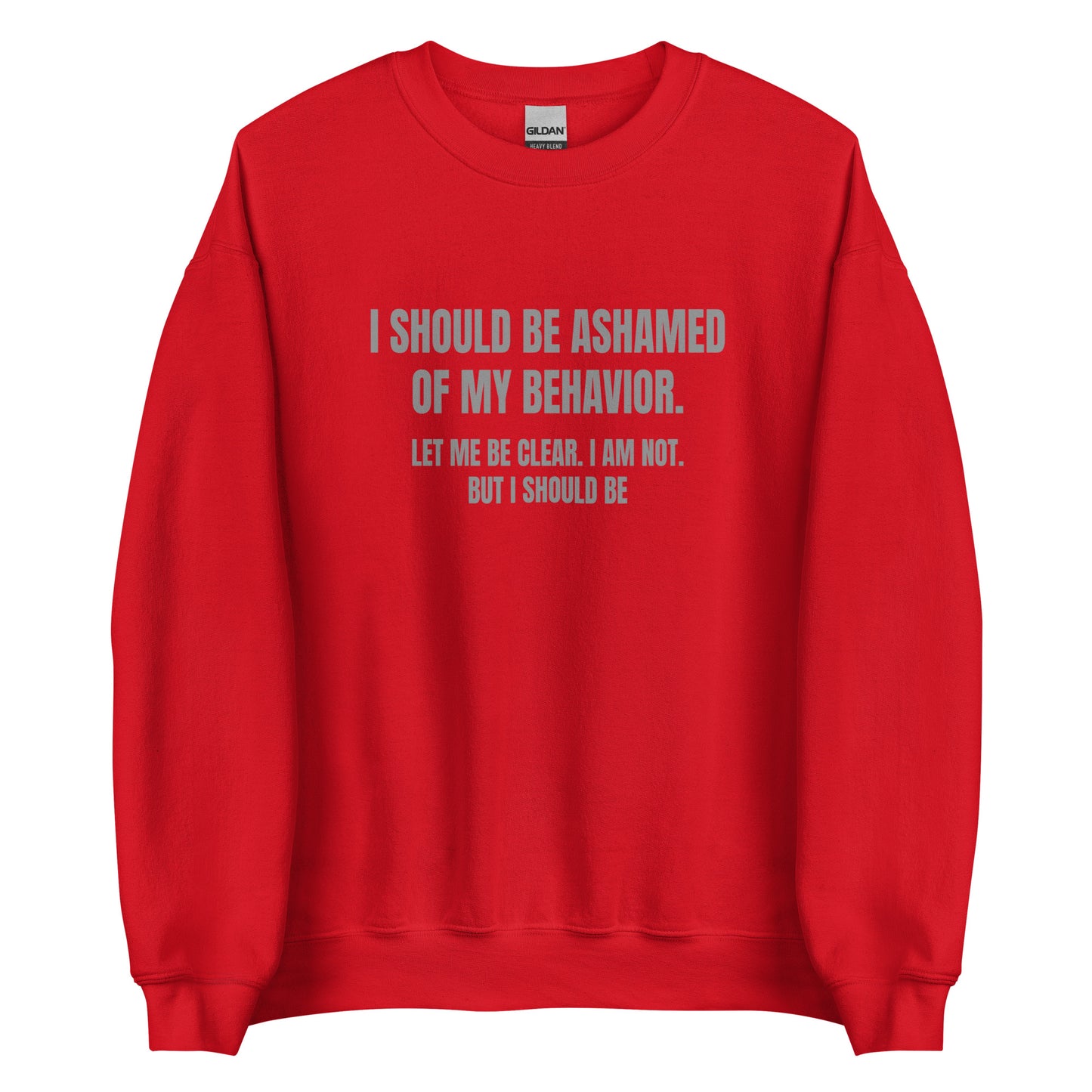 Ashamed of My Behavior – Unisex Sweater
