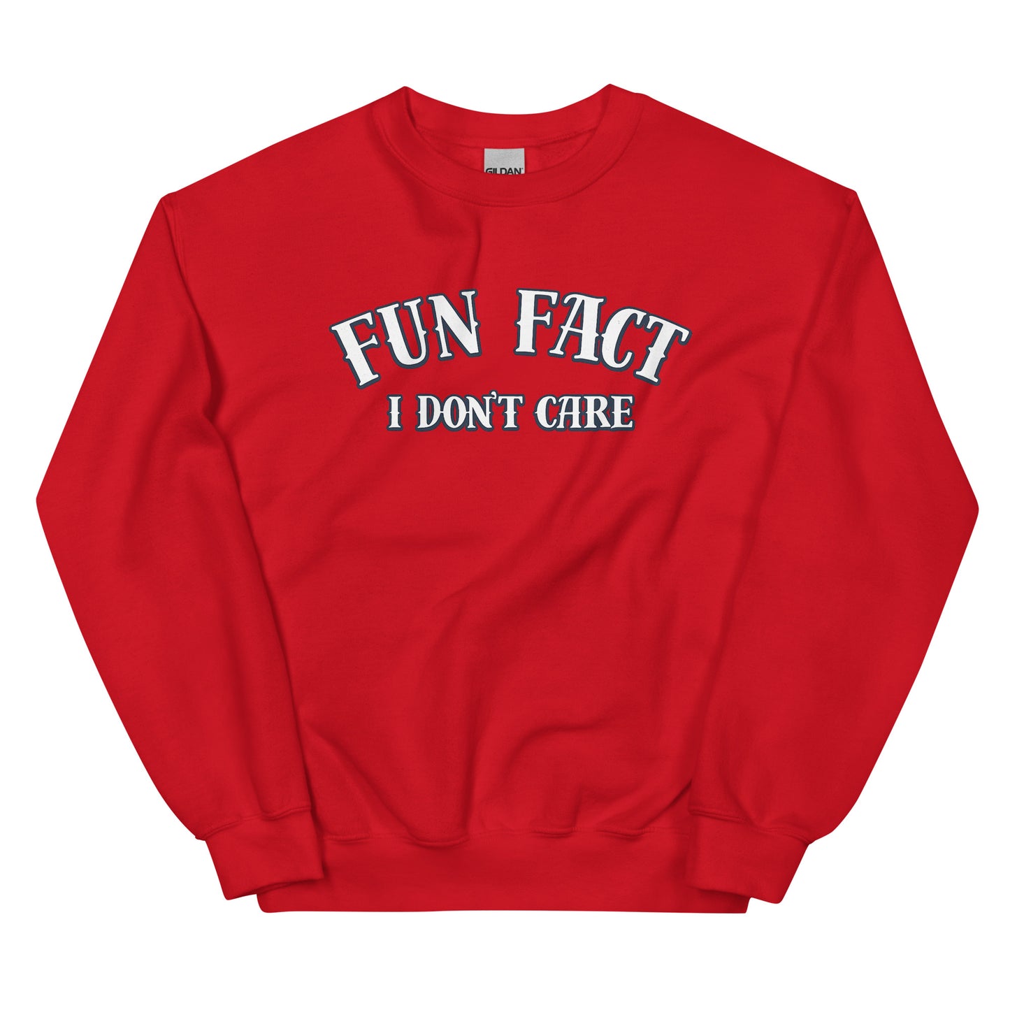 Fun Fact I Don’t Care Statement Sweater