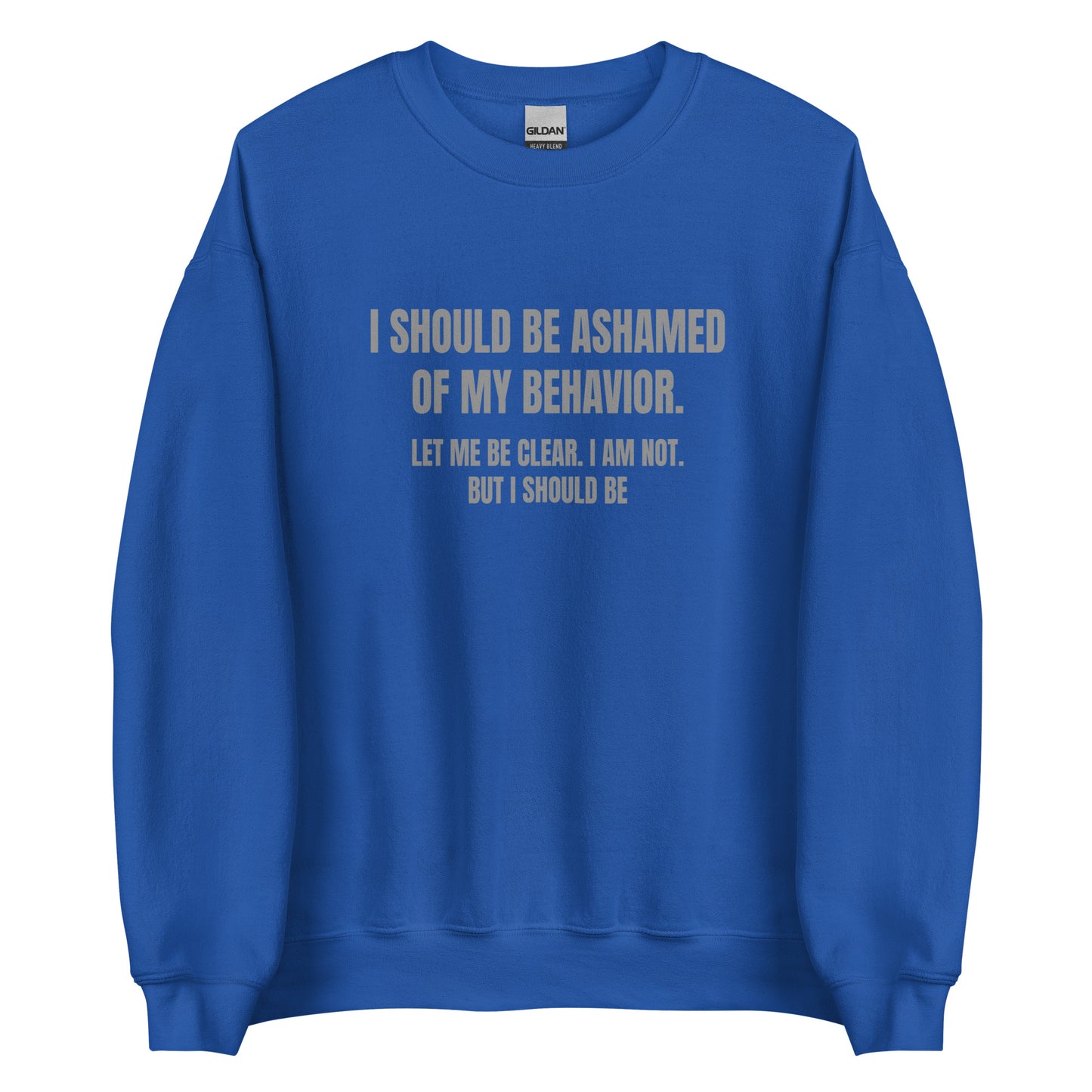 Ashamed of My Behavior – Unisex Sweater