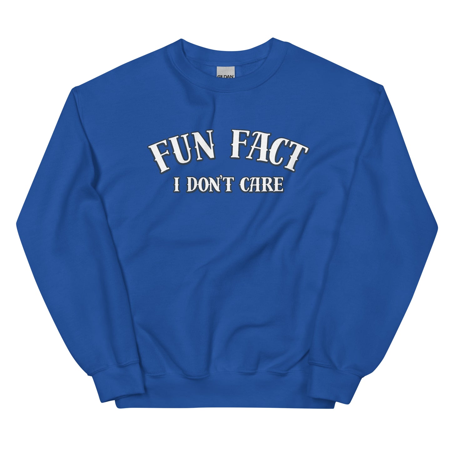 Fun Fact I Don’t Care Statement Sweater