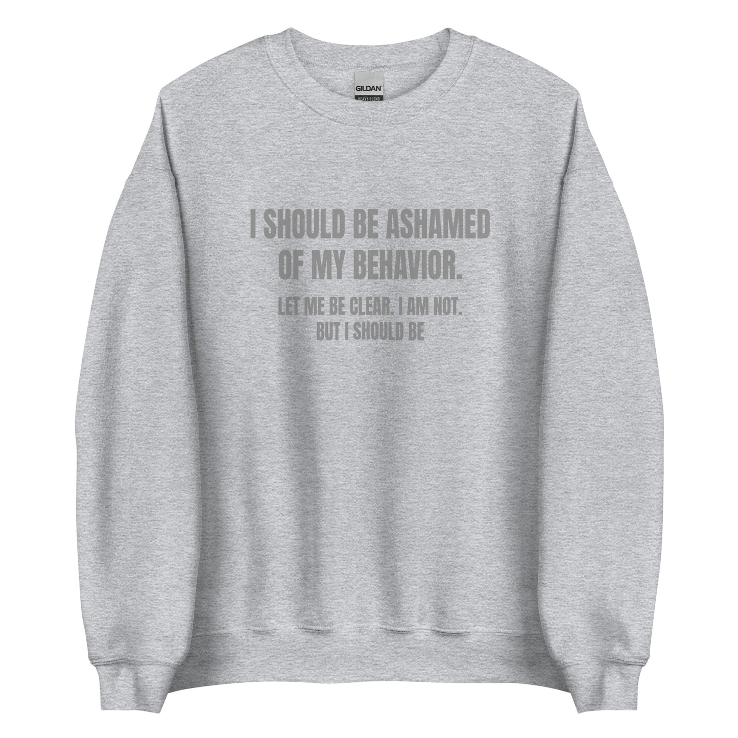 Ashamed of My Behavior – Unisex Sweater